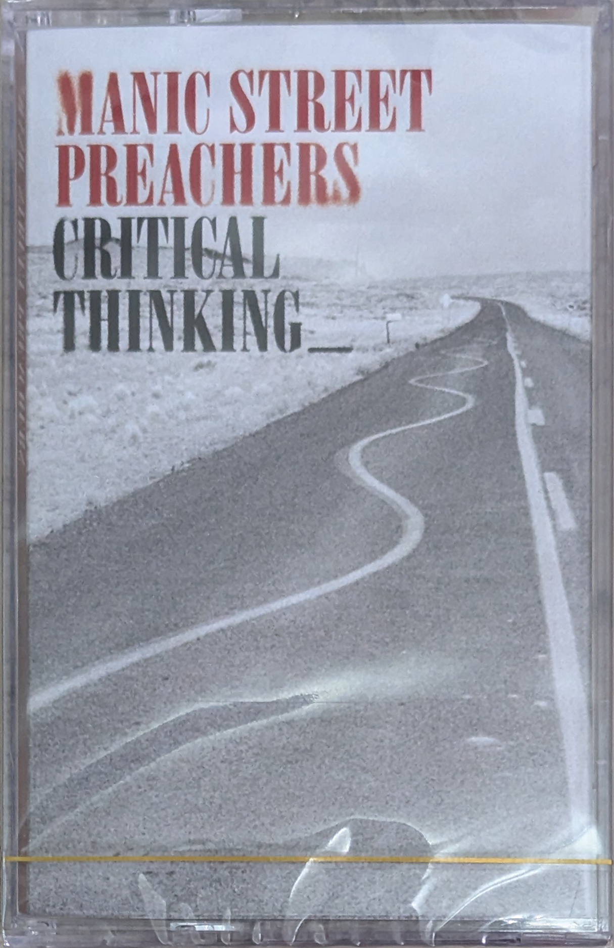 Critical Thinking