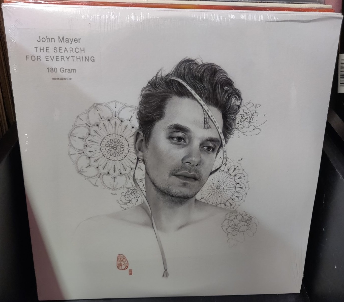 The Search for Everything