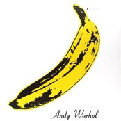 The Velvet Underground & Nico - 45th Anniversary