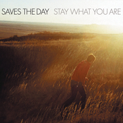 Stay What You Are by Saves the Day