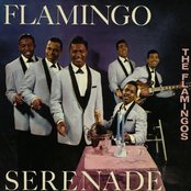 Flamingo Serenade by The Flamingos