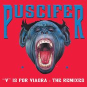 "V" Is for Viagra, the Vagina Remixes by Puscifer