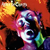 Facelift by Alice in Chains