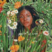 Proof of Life by Joy Oladokun
