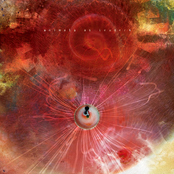 The Joy of Motion by Animals as Leaders
