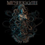 The Violent Sleep of Reason by Meshuggah