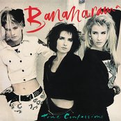 True Confessions (Collector's Edition) cover