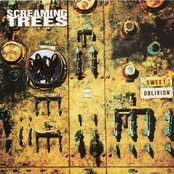 Sweet Oblivion by Screaming Trees
