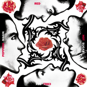 Blood Sugar Sex Magik by Red Hot Chili Peppers