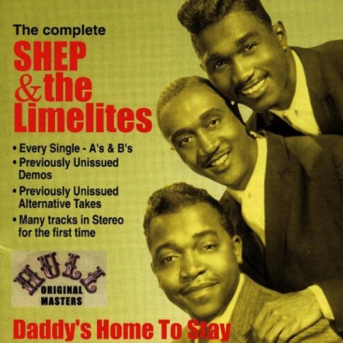 Daddy's Home to Stay