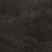 transient