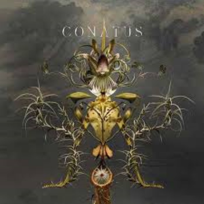 Conatus