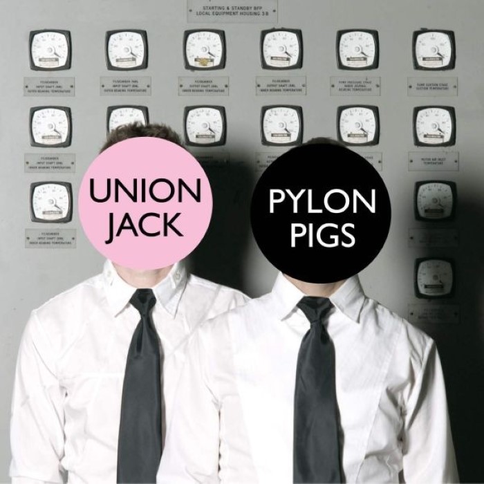 Pylon Pigs