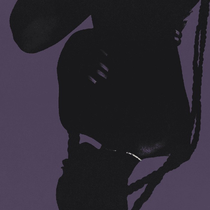 PARTYNEXTDOOR 4 (P4)