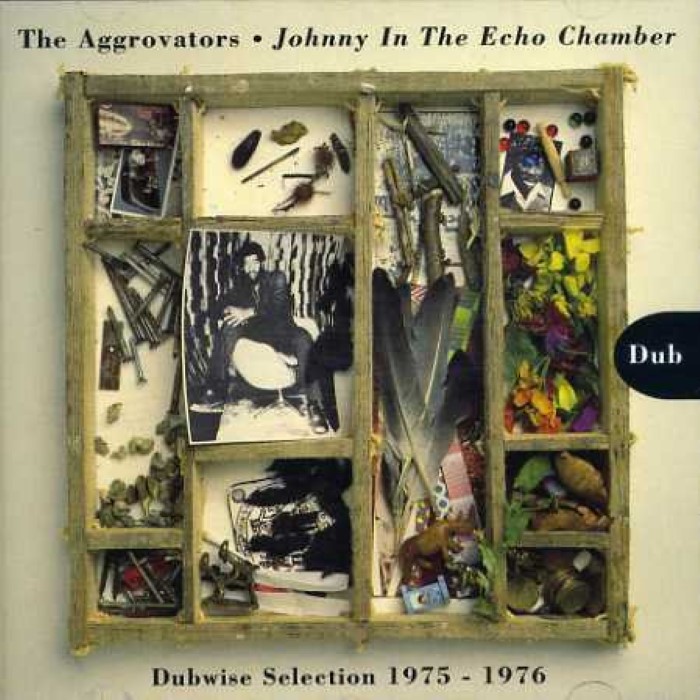 Johnny in the Echo Chamber