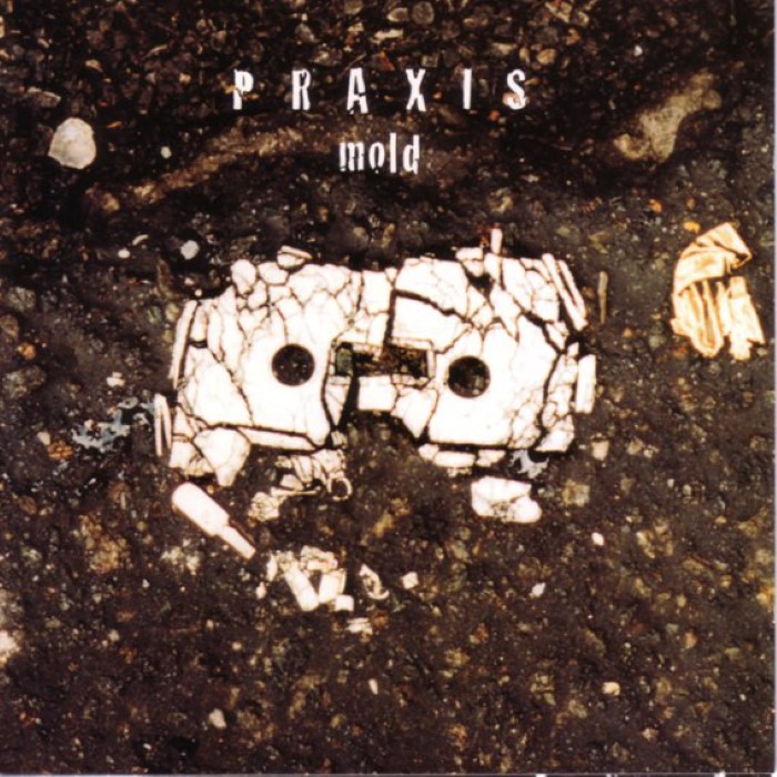 Mold