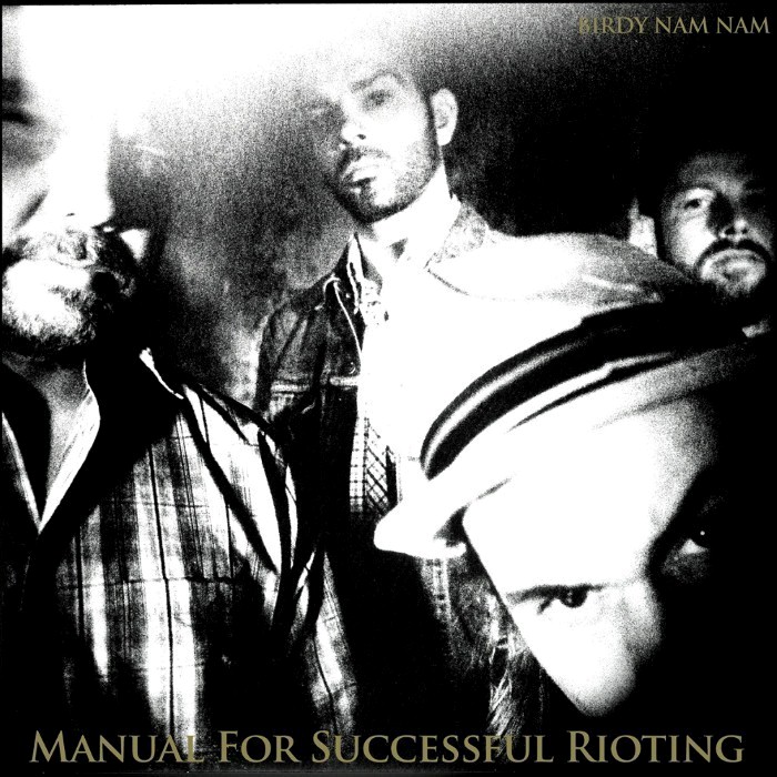 Manual For Successful Rioting