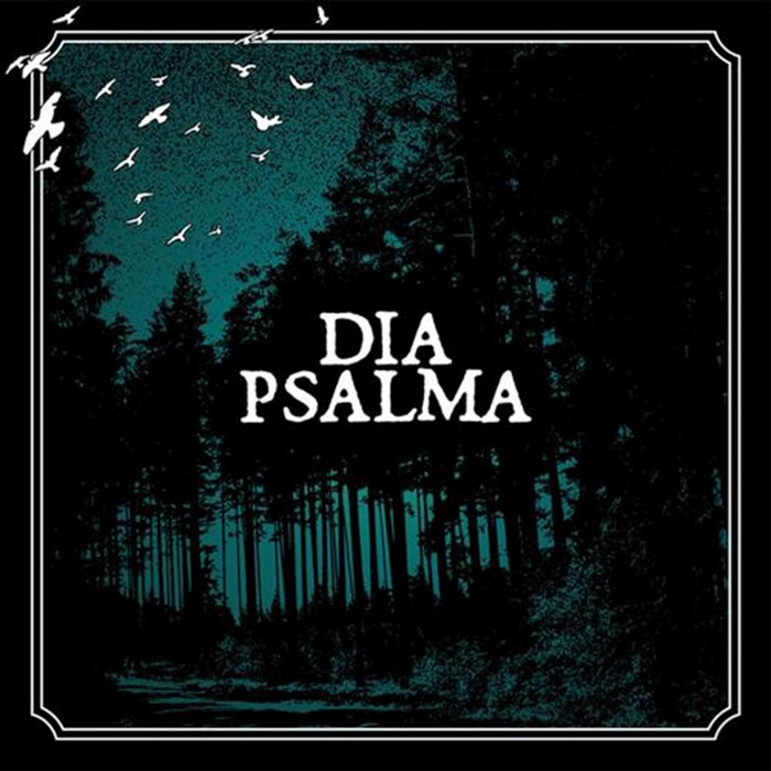 Djupa skogen