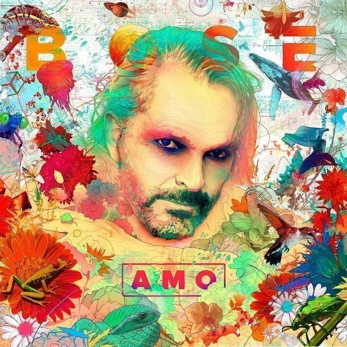 Amo