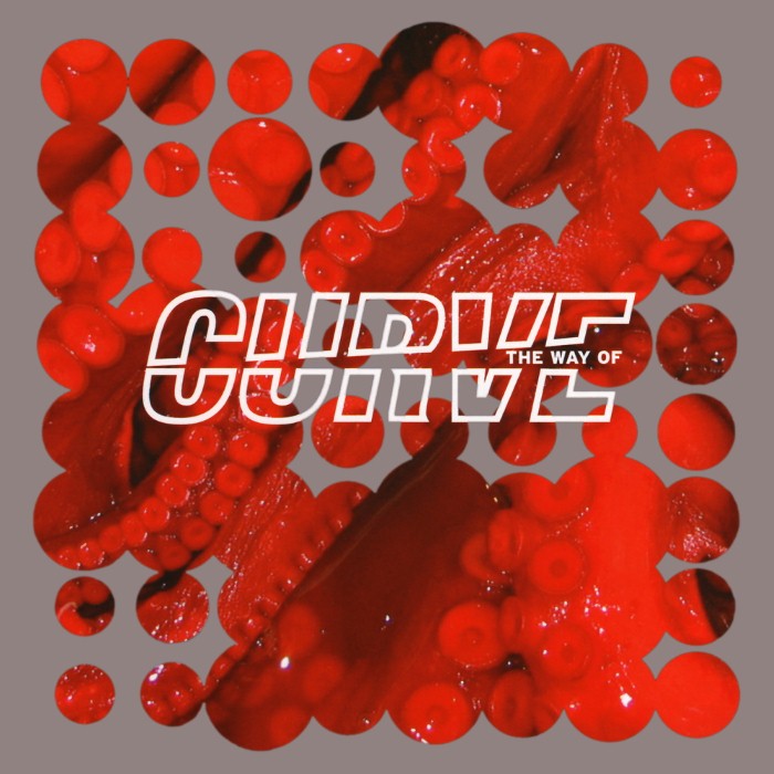 The Way of Curve