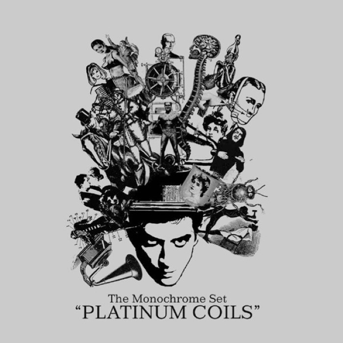 Platinum Coils