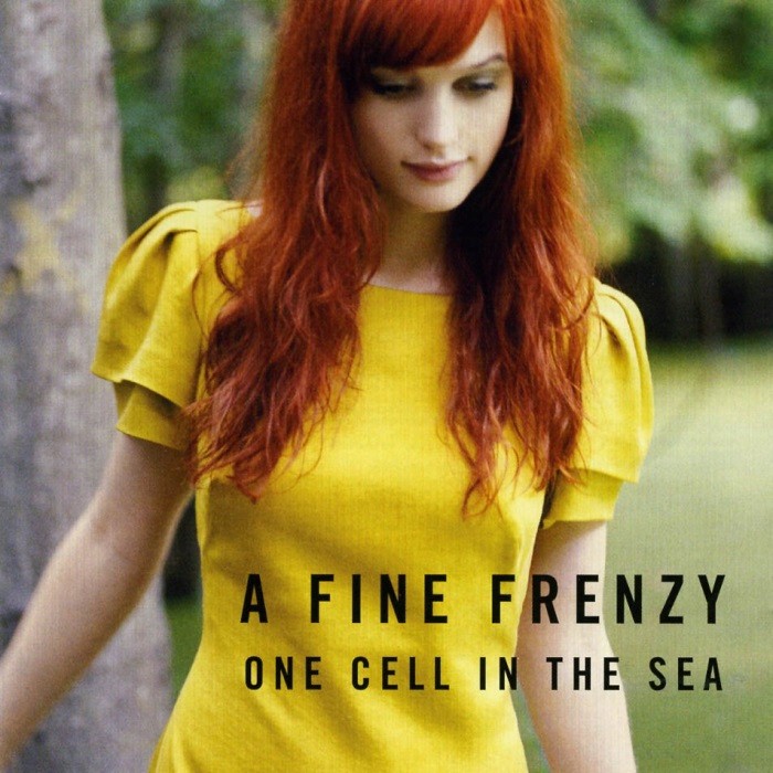 One Cell in the Sea