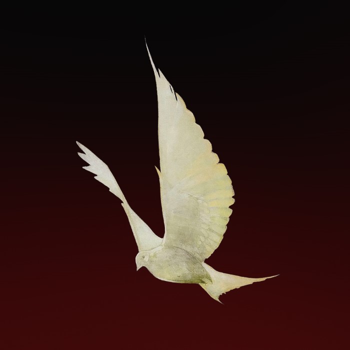 Dove