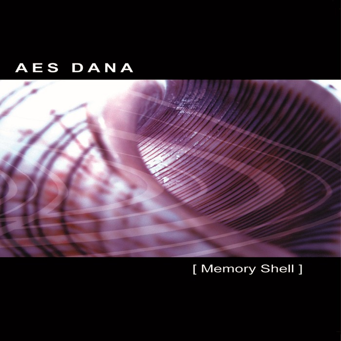 Memory Shell