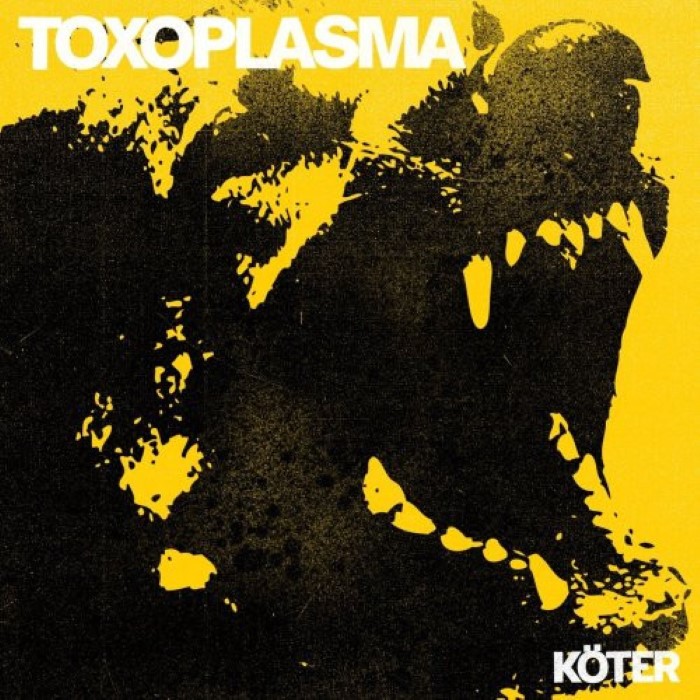 Köter