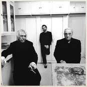 Music, Fashion, Film by Charli xcx, David Cronenberg