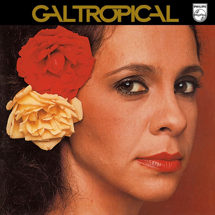 Gal tropical