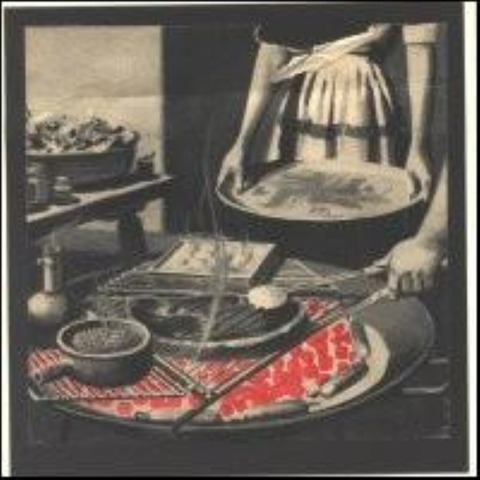 Negativland