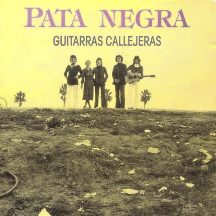 Guitarras callejeras