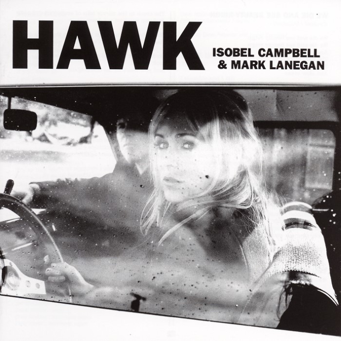 Hawk