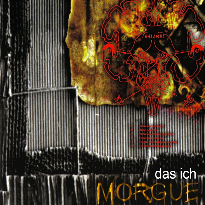 Morgue