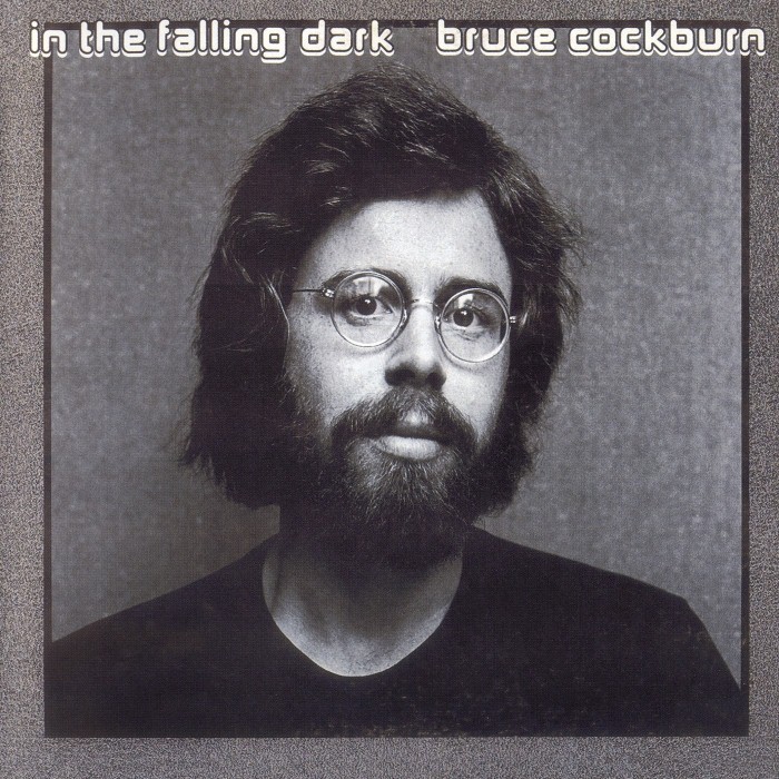 In the Falling Dark