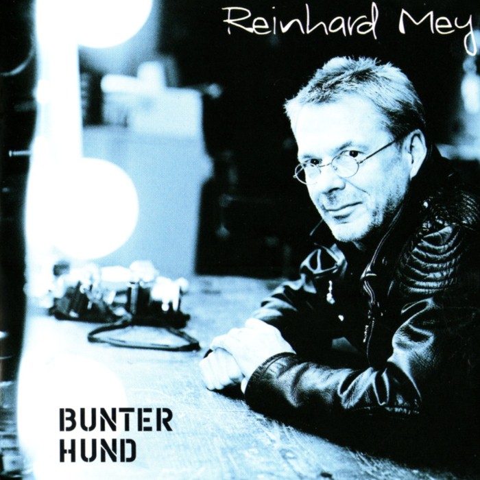Bunter Hund