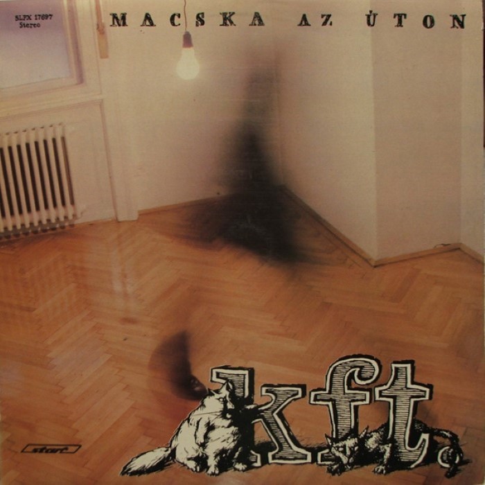Macska az úton