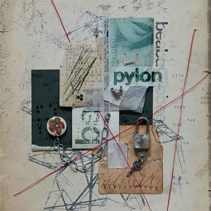 Pylon cover