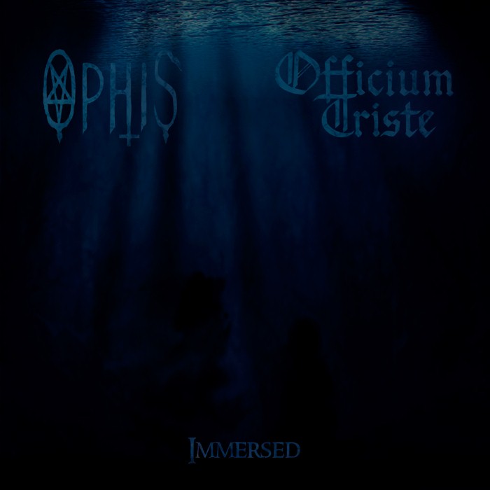 Immersed