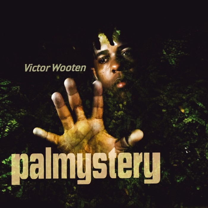 Palmystery