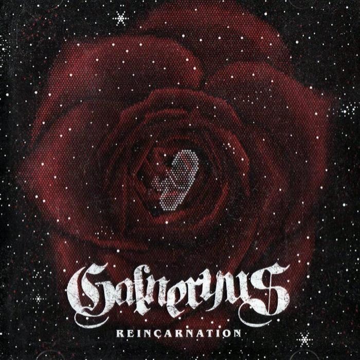 Reincarnation