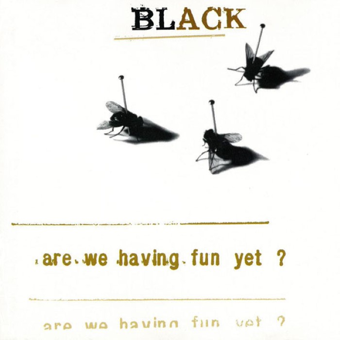 Are We Having Fun Yet?