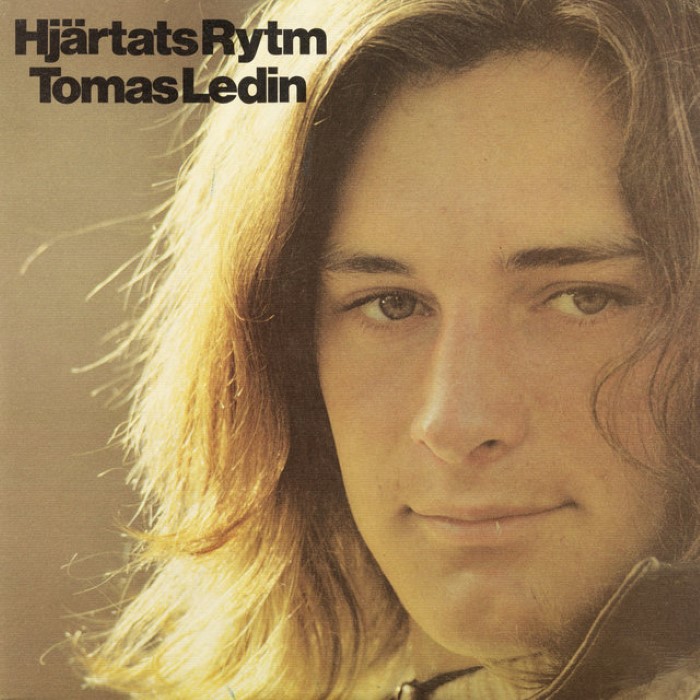 Hjärtats rytm