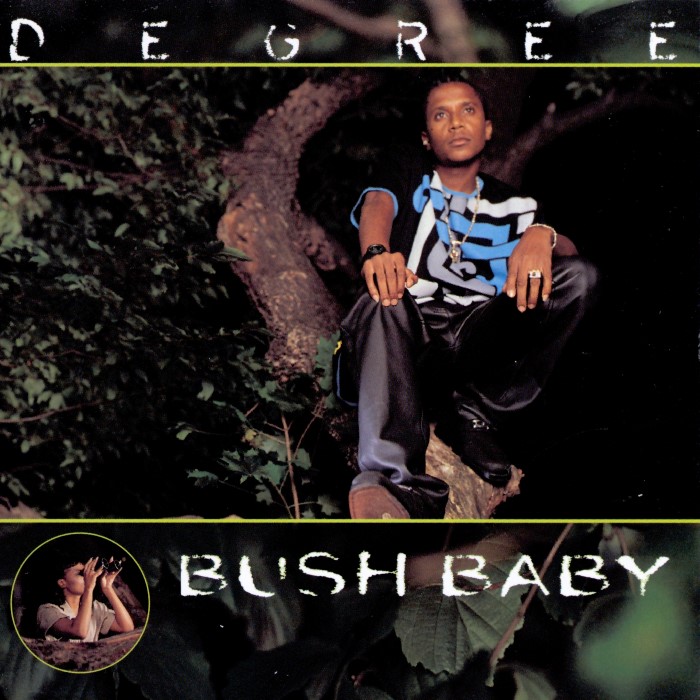 Bush Baby