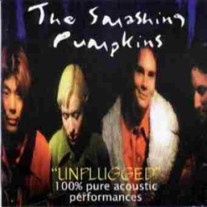 Unplugged: 100% Pure Acoustic Performances