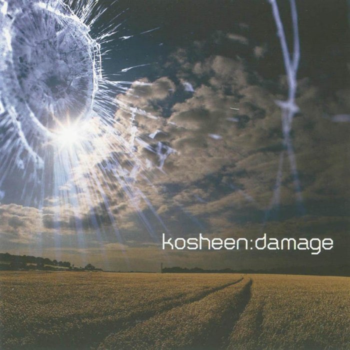 Damage